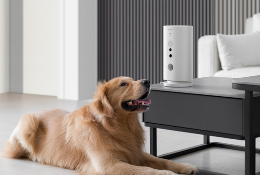 SMART PET CAMERA